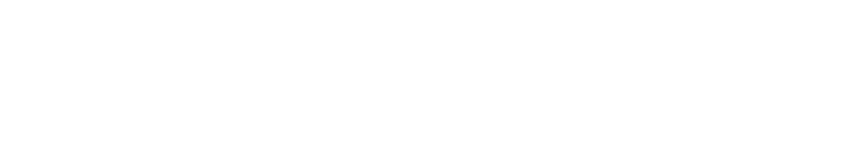 TinyTwin